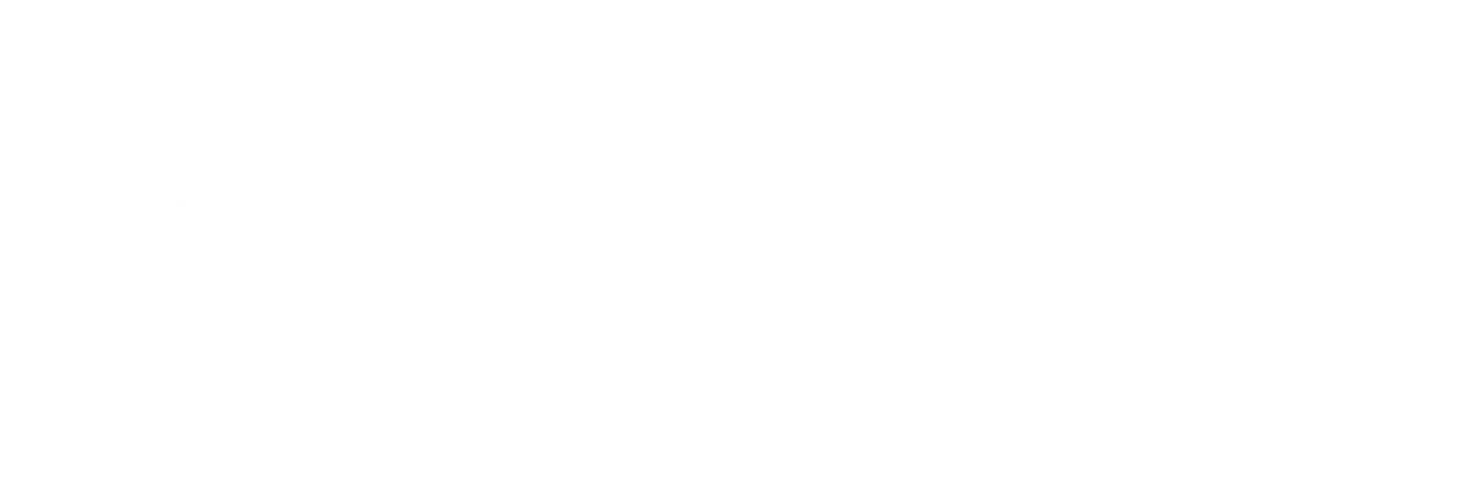 Logo HI Partner transparente